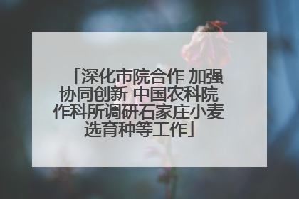 深化市院合作 加强协同创新 中国农科院作科所调研石家庄小麦选育种等工作
