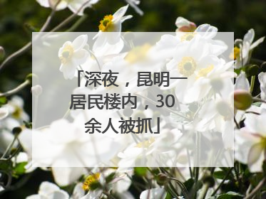 深夜，昆明一居民楼内，30余人被抓