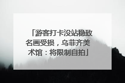 游客打卡没站稳致名画受损，乌菲齐美术馆：将限制自拍