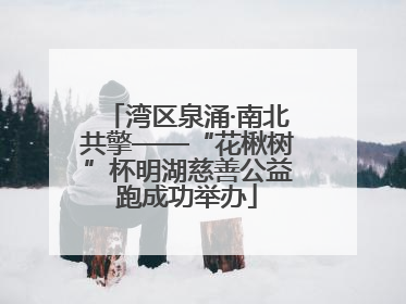 湾区泉涌·南北共擎——“花楸树”杯明湖慈善公益跑成功举办