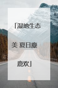 湿地生态美 夏日麋鹿欢