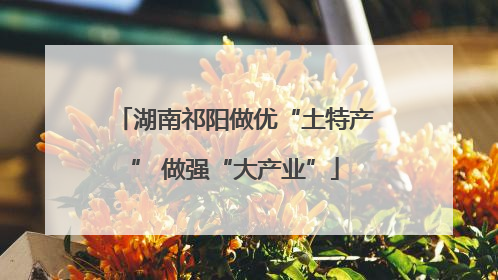 湖南祁阳做优“土特产” 做强“大产业”