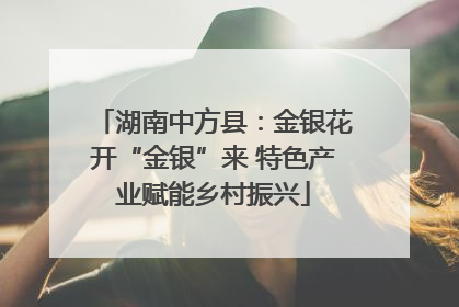 湖南中方县：金银花开“金银”来 特色产业赋能乡村振兴