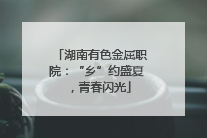 湖南有色金属职院：“乡”约盛夏，青春闪光