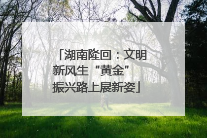 湖南隆回：文明新风生“黄金” 振兴路上展新姿