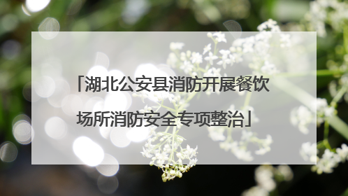 湖北公安县消防开展餐饮场所消防安全专项整治