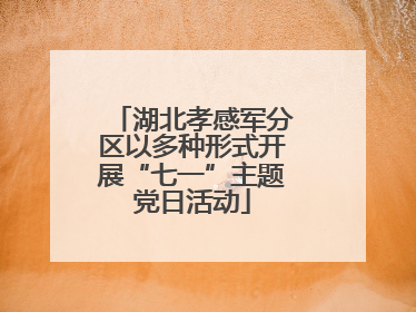湖北孝感军分区以多种形式开展“七一”主题党日活动