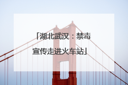 湖北武汉：禁毒宣传走进火车站
