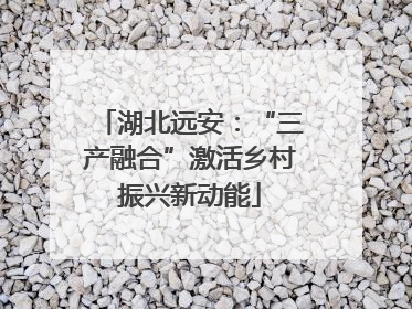 湖北远安：“三产融合”激活乡村振兴新动能
