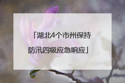 湖北4个市州保持防汛四级应急响应
