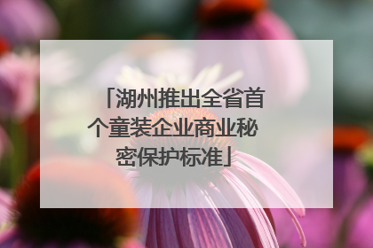 湖州推出全省首个童装企业商业秘密保护标准