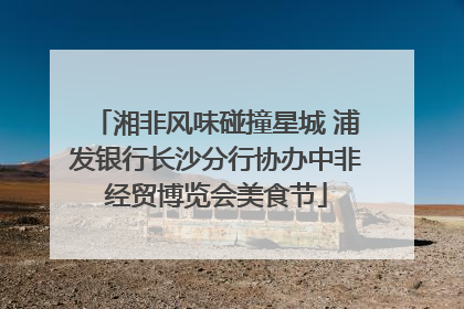 湘非风味碰撞星城 浦发银行长沙分行协办中非经贸博览会美食节