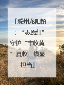 滕州龙阳镇：“志愿红”守护“丰收黄”夏收一线显担当