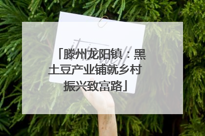 滕州龙阳镇：黑土豆产业铺就乡村振兴致富路