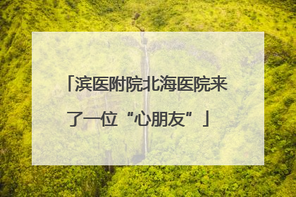 滨医附院北海医院来了一位“心朋友”