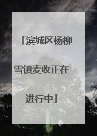 滨城区杨柳雪镇麦收正在进行中