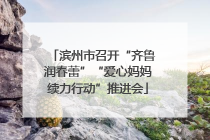 滨州市召开“齐鲁润春蕾”“爱心妈妈续力行动”推进会