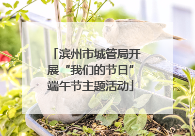 滨州市城管局开展“我们的节日”端午节主题活动