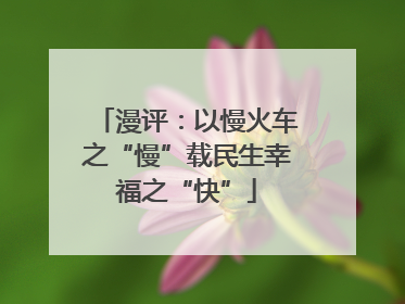 漫评：以慢火车之“慢”载民生幸福之“快”