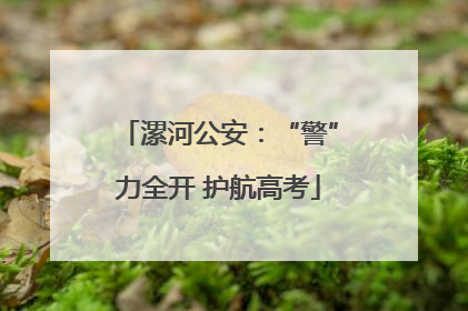 漯河公安：“警”力全开 护航高考