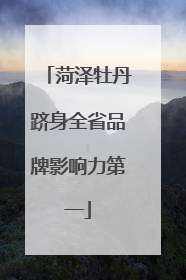 菏泽牡丹跻身全省品牌影响力第一