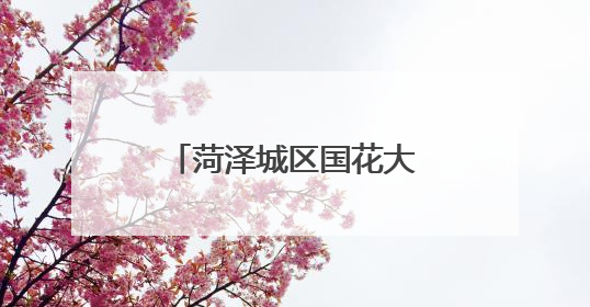 菏泽城区国花大道（临商路—上海路）全线贯通！