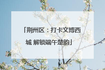 荆州区：打卡文博西城 解锁端午楚韵
