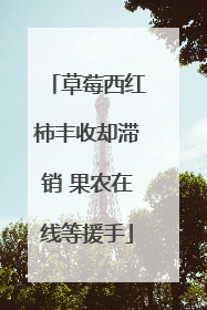 草莓西红柿丰收却滞销 果农在线等援手