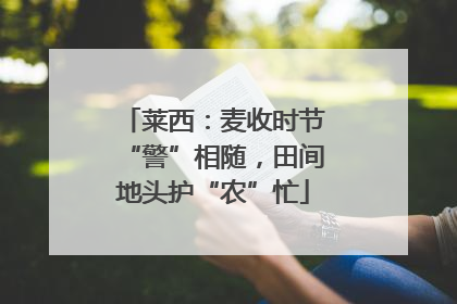 莱西：麦收时节“警”相随，田间地头护“农”忙