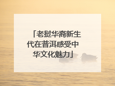 老挝华裔新生代在普洱感受中华文化魅力