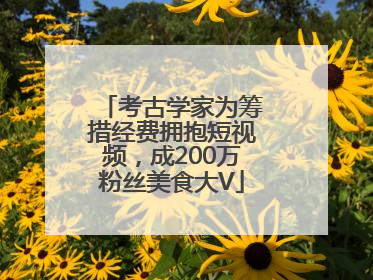 考古学家为筹措经费拥抱短视频，成200万粉丝美食大V