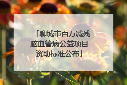 聊城市百万减残脑血管病公益项目资助标准公布