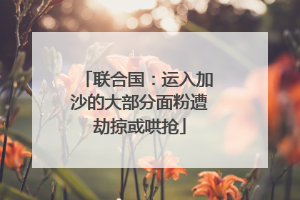 联合国：运入加沙的大部分面粉遭劫掠或哄抢