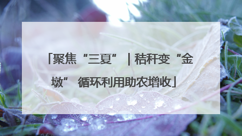 聚焦“三夏”｜秸秆变“金墩” 循环利用助农增收