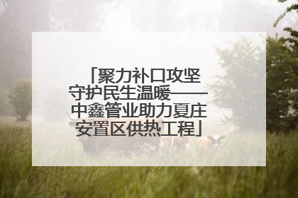 聚力补口攻坚 守护民生温暖——中鑫管业助力夏庄安置区供热工程