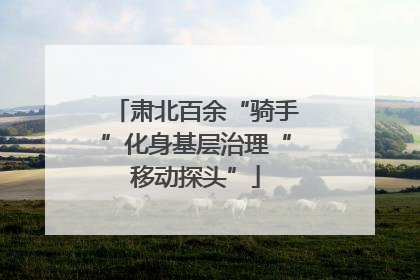 肃北百余“骑手”化身基层治理“移动探头”