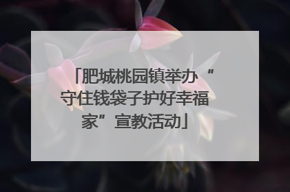 肥城桃园镇举办“守住钱袋子护好幸福家”宣教活动