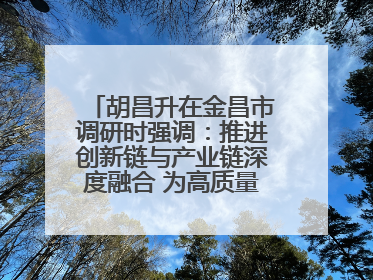 胡昌升在金昌市调研时强调：推进创新链与产业链深度融合 为高质量发展塑造新动能新优势