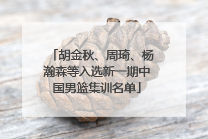 胡金秋、周琦、杨瀚森等入选新一期中国男篮集训名单