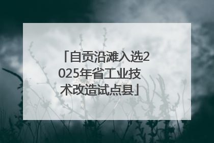 自贡沿滩入选2025年省工业技术改造试点县