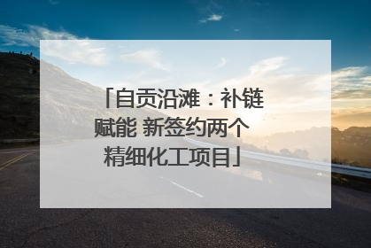 自贡沿滩：补链赋能 新签约两个精细化工项目
