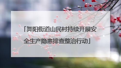 舞阳街道山民村持续开展安全生产隐患排查整治行动
