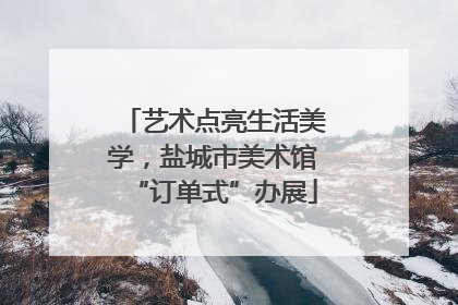 艺术点亮生活美学，盐城市美术馆“订单式”办展