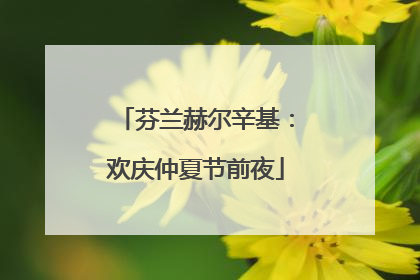芬兰赫尔辛基：欢庆仲夏节前夜