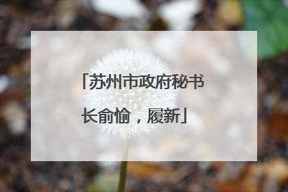 苏州市政府秘书长俞愉，履新