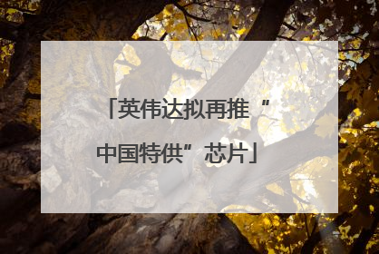 英伟达拟再推“中国特供”芯片