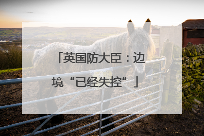 英国防大臣：边境“已经失控”