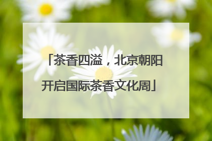 茶香四溢，北京朝阳开启国际茶香文化周
