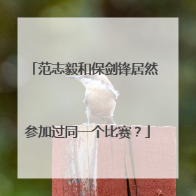 范志毅和保剑锋居然参加过同一个比赛？