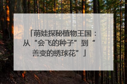 萌娃探秘植物王国：从“会飞的种子”到“善变的绣球花”